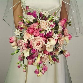 lindoo