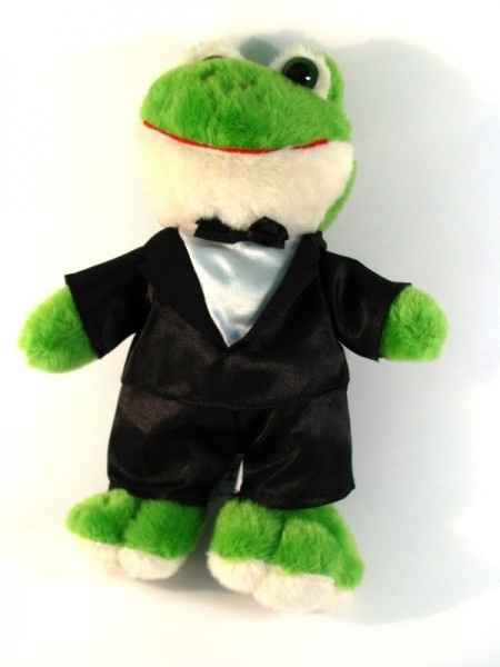 Sapo Noivo