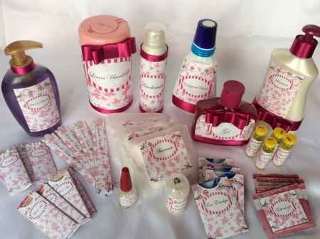 Kit Toilet