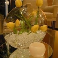 Estilo aquario