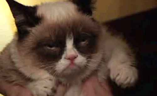 Minha cara para a mesma ...