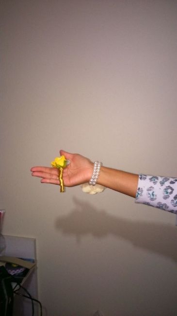 Flor de Lapela