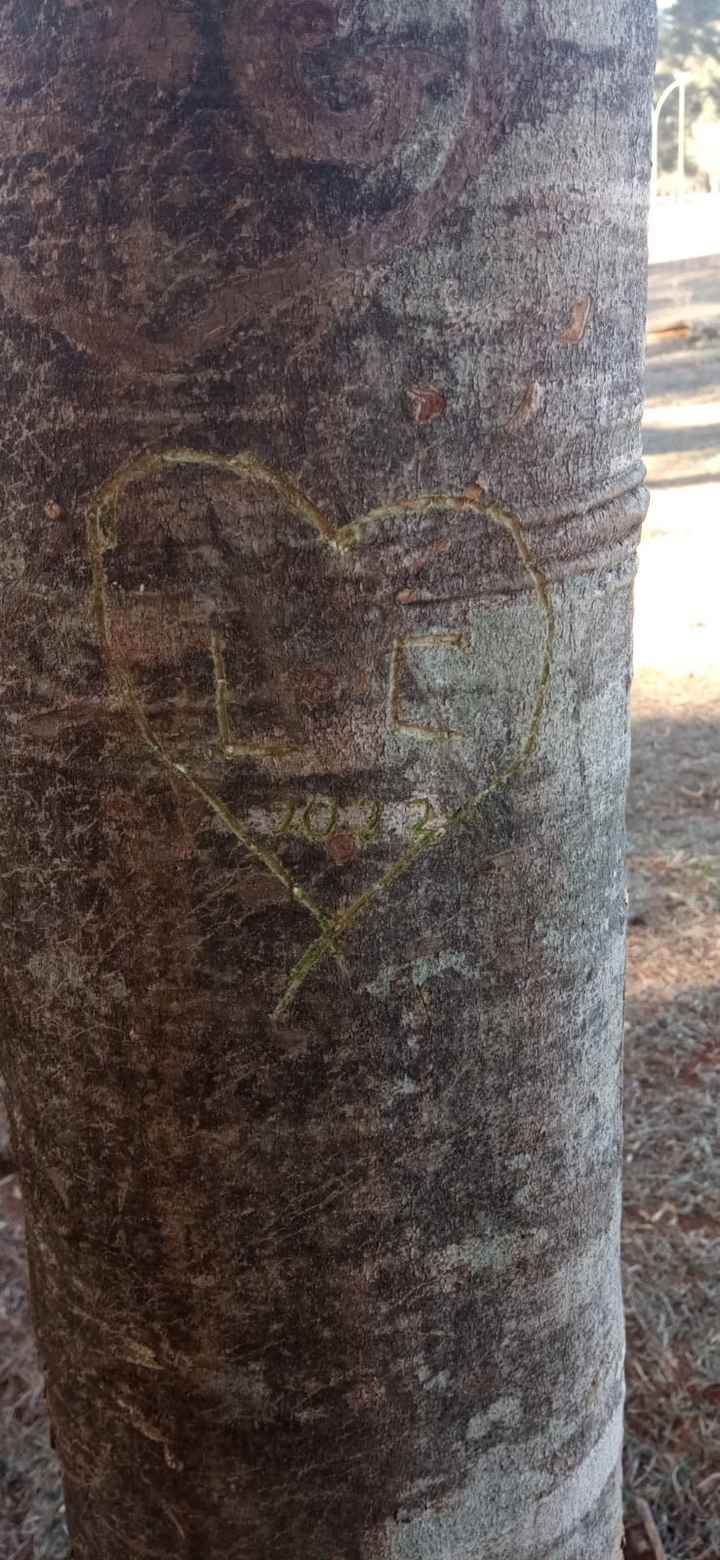  C S2 L