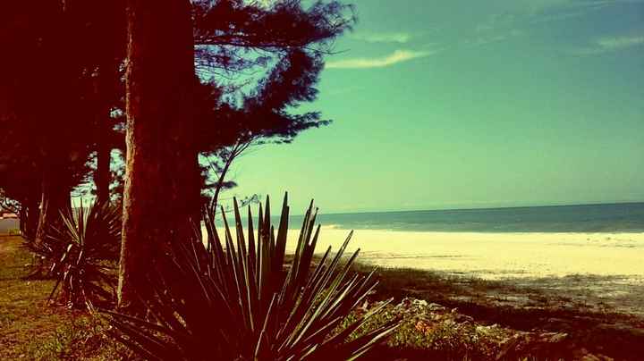 Alguém aí que casará na praia? - 1