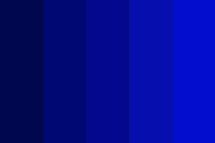 Paleta azul royal/bic - 1
