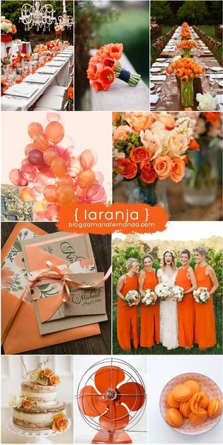 Paleta de Cores - Laranja
