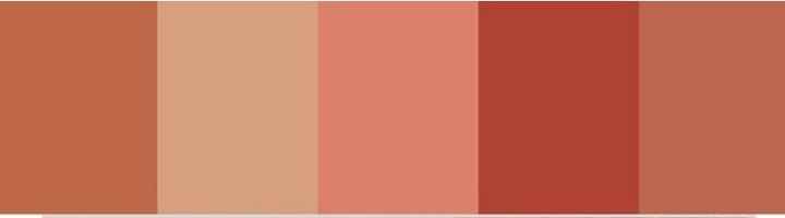 Paleta de Cores e Composição do Cerimonial - 1