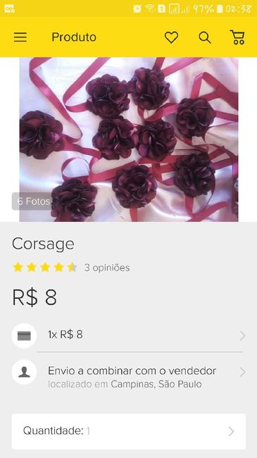 Corsage - 1