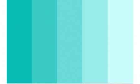 Diagrama de cores para o casamento - 1