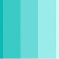 Diagrama de cores para o casamento - 1