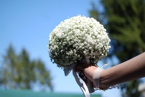 Flores mais usadas em casamento