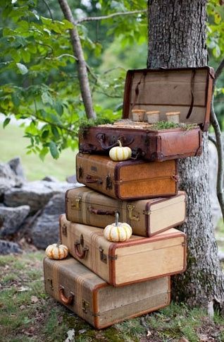 Casamento temático: Harry Potter