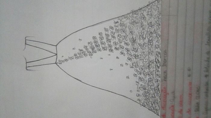 O vestido tão sonhado! - 2