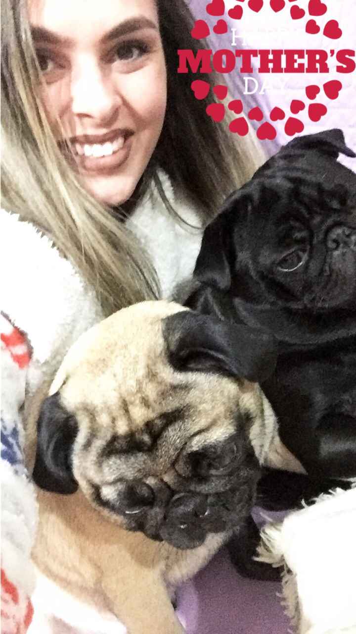Faço o que com o dog? - 1