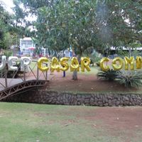 Pedido de Casamento Surpresa - 2