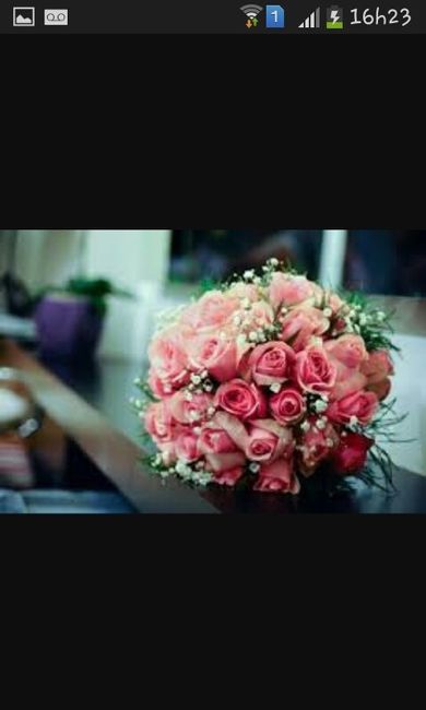 Sapato pink - 1