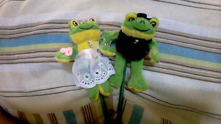Casal de sapinhos !