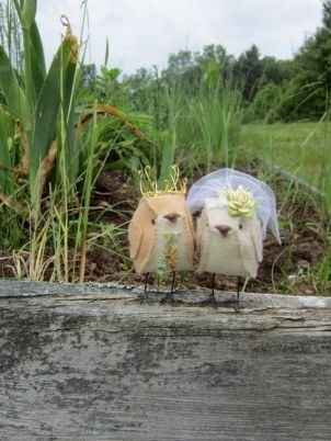 Love Birds