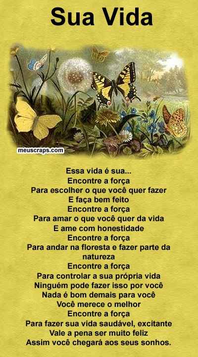 sua vida