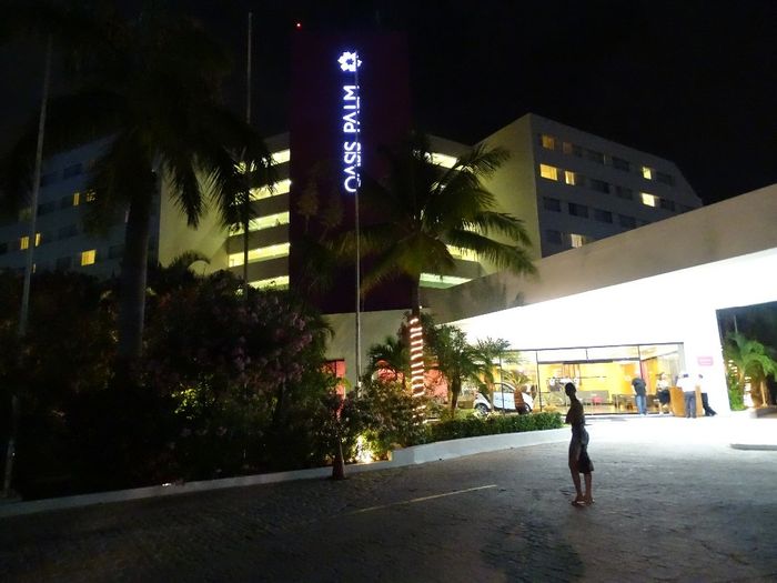 Oasis Palm