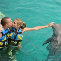 Dolphin Discovery