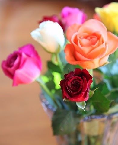 Rosas!!