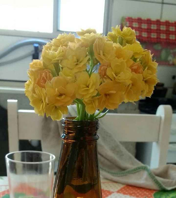 Qual o nome dessa flor? - 2