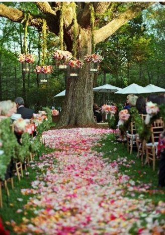 casamento no campo