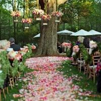 casamento no campo