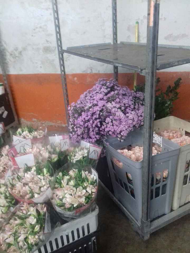 Visita ao mercado das flores! #venhaver - 6
