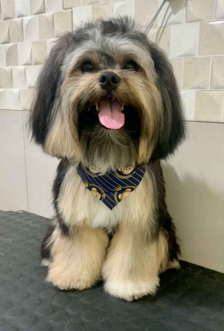 Gente do céu, nosso Topo de Bolo chegou!!! - 1