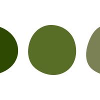 Madrinhas cores - 1