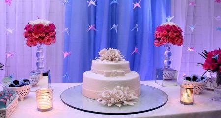 Renovação dos votos - 1 ano após o casamento - 2