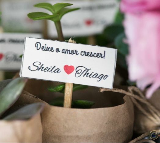 Lembranças Suculentas