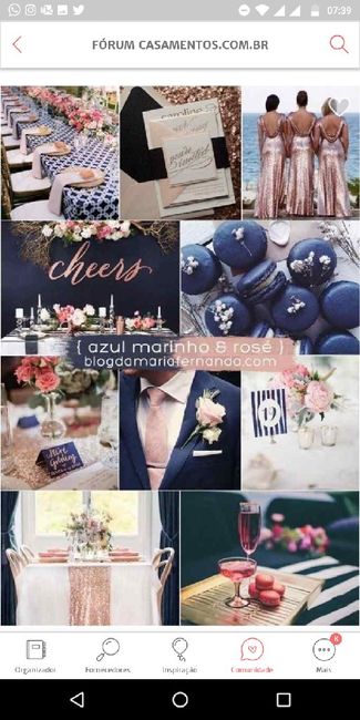 Casamento azul e rosa - 1