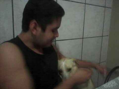 Pets no casamento - 2