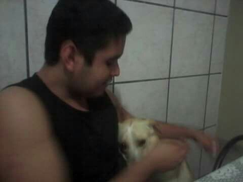 Pets no casamento - 2