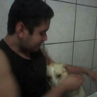 Pets no casamento - 2
