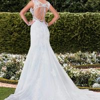 Meu Vestido - Costas