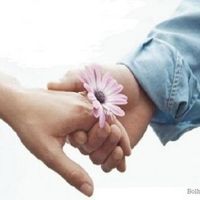 vidas