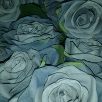 Aonde comprar flores rj ?qual o valor em média ? - 1