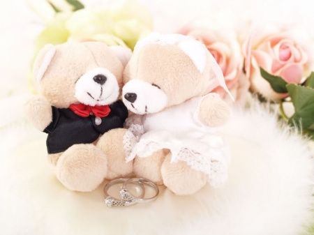 urso de pelúcia