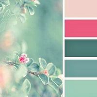 Minha paleta de cores - 1