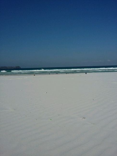 Viagem perfeita! - 5
