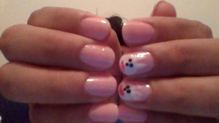 coelhos *-* *-*