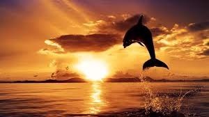 pôr do sol