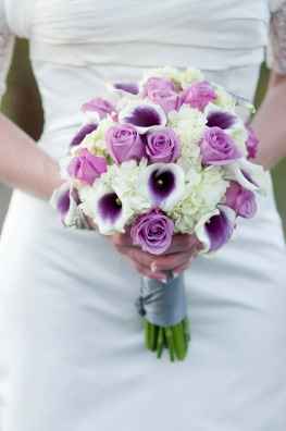 Rosas lilas e copos de leite Picasso