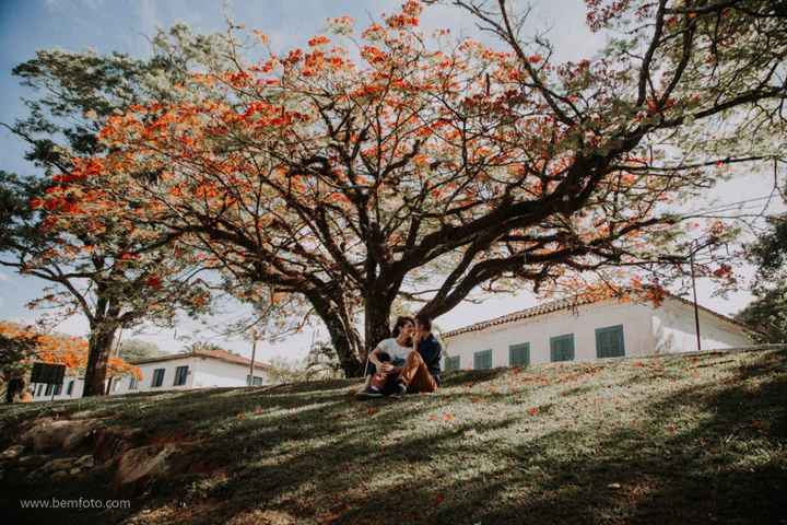 Fazenda Ipanema