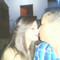 Thaynaeleandro