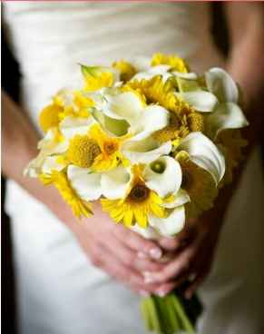 Minhas inspirações- casamento rústico - 3
